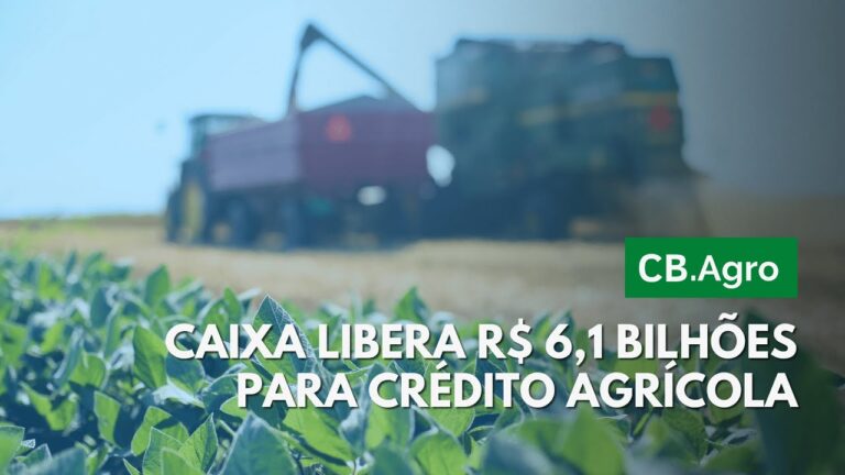 Recrutamento na Caixa Agr&iacute;cola: Oportunidades no Setor Agr&iacute;cola